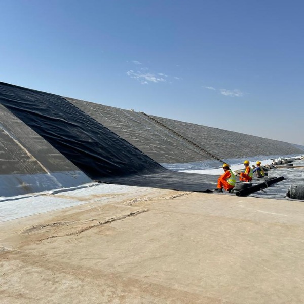 Geomembrane